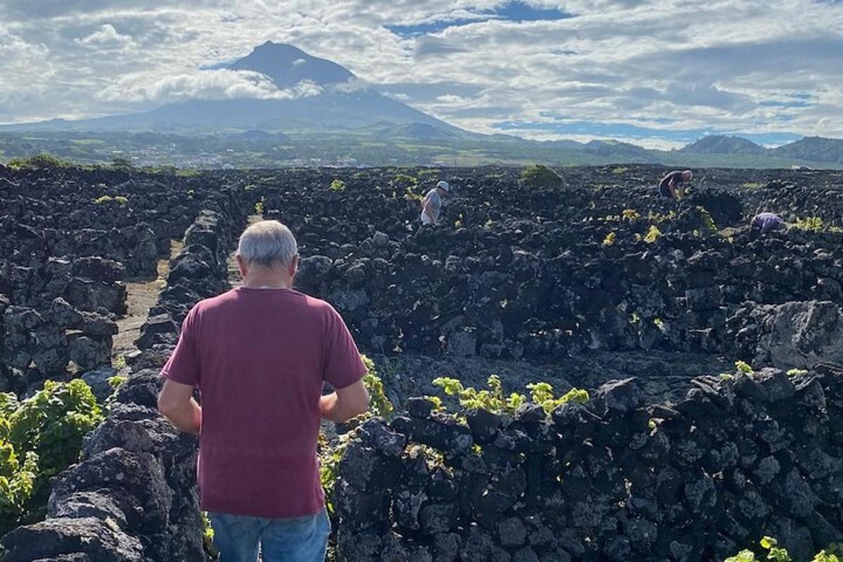 Ljósmynd af afþreyingu 7