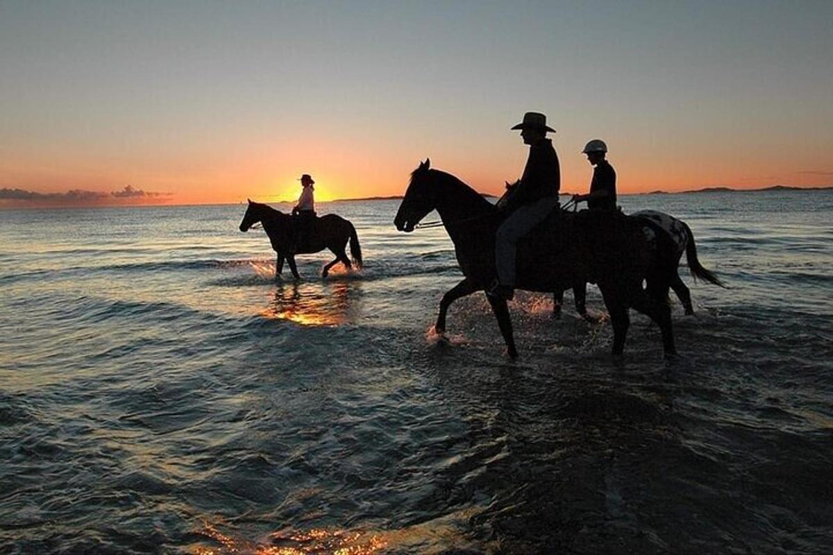 un grupo de personas montando a caballo en la playa