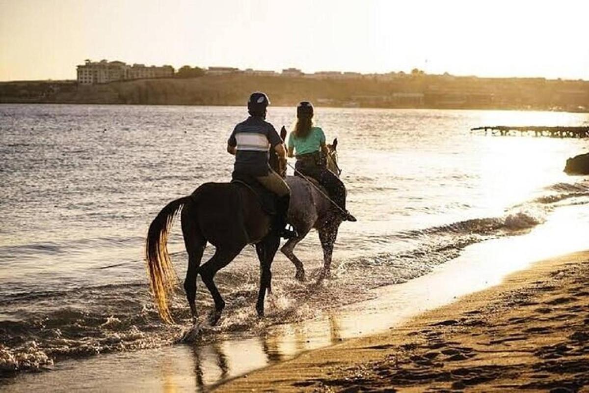 dva človeka jahata konje na plaži