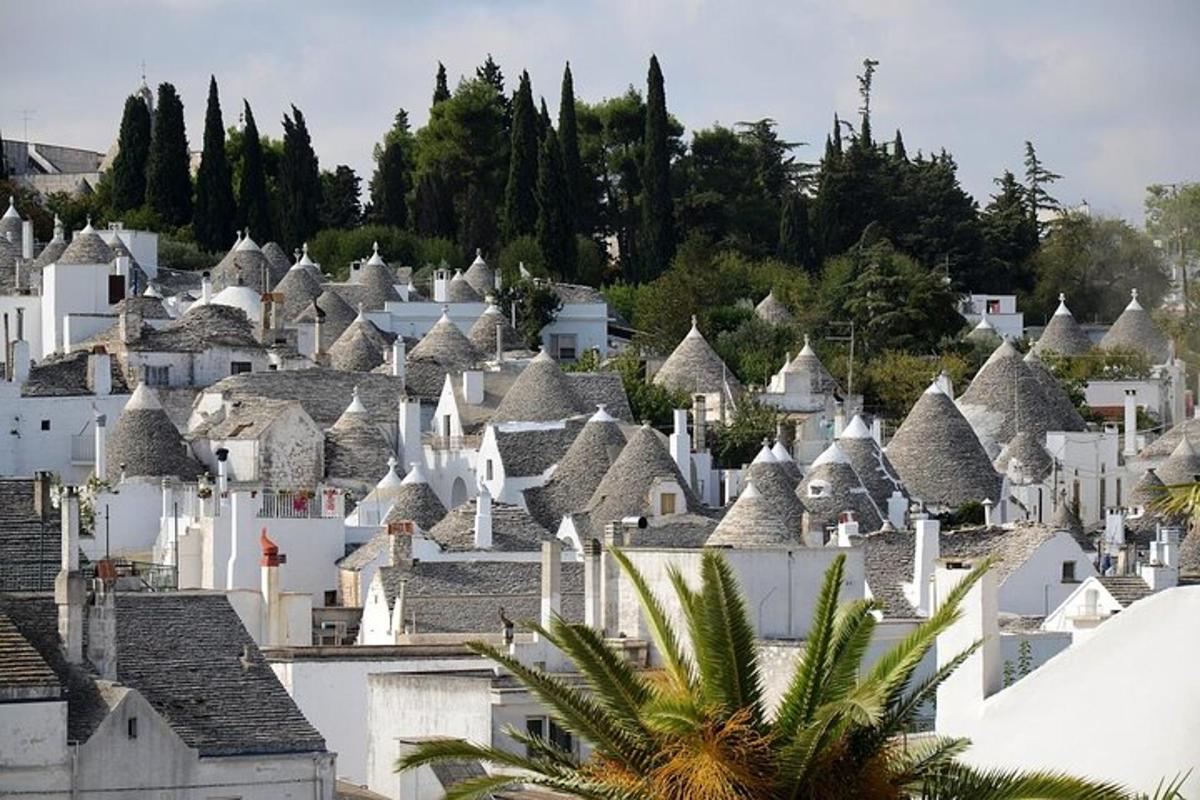 a village with white houses and trees on a hill