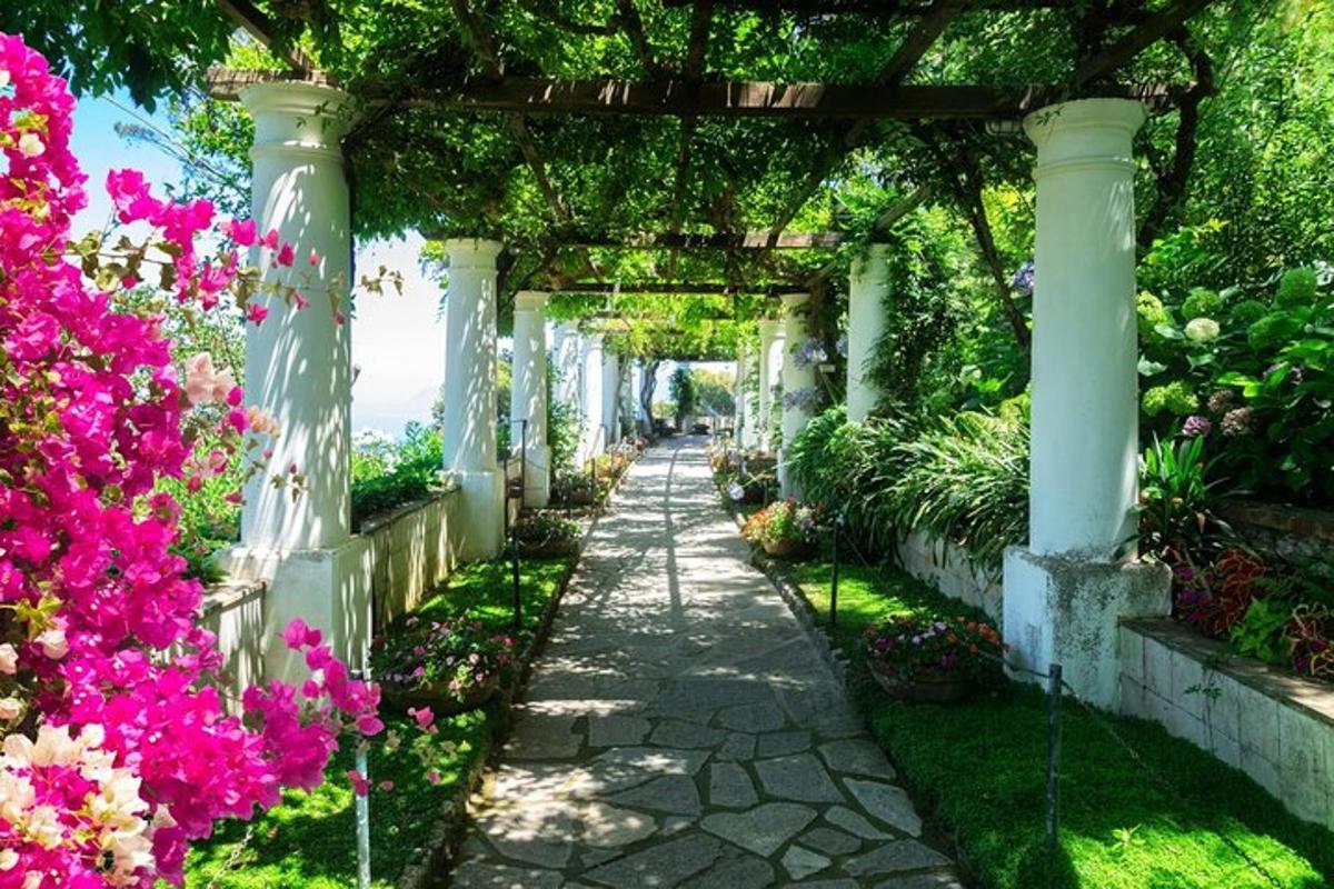 un vialetto da giardino con fiori e un pergolato