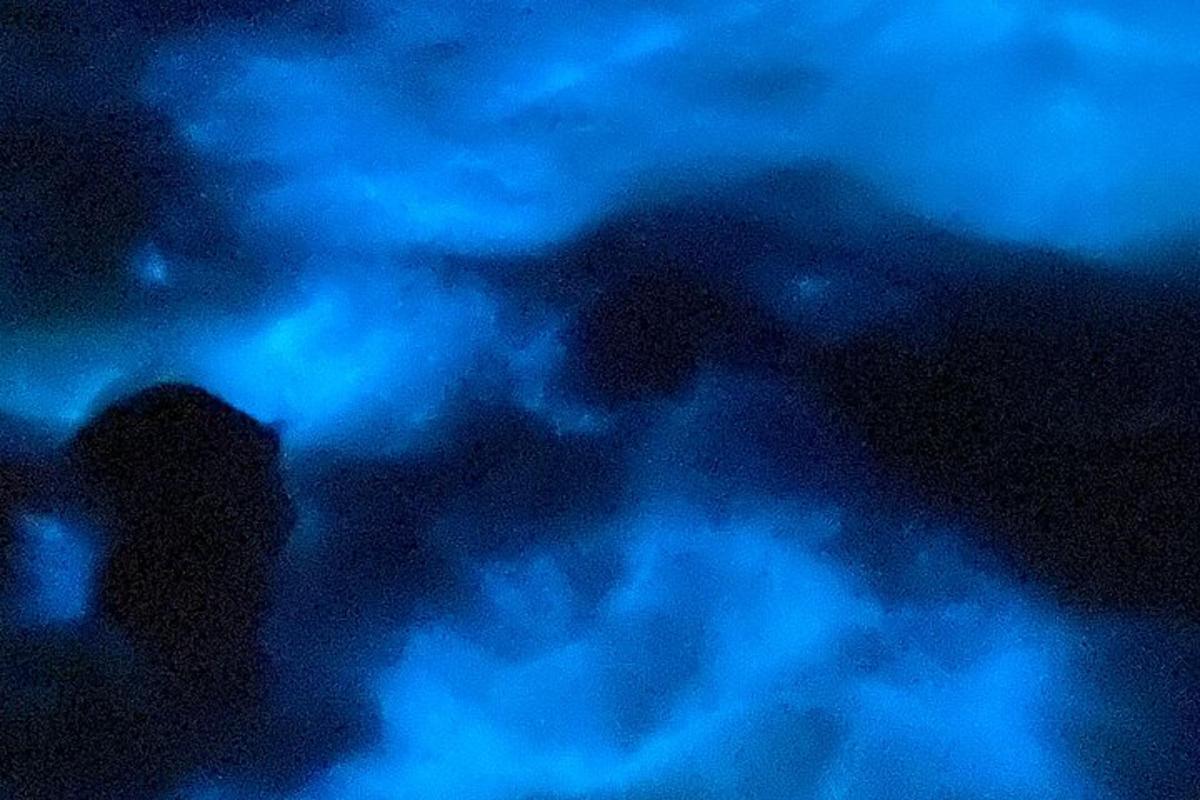 a group of people in the water at night