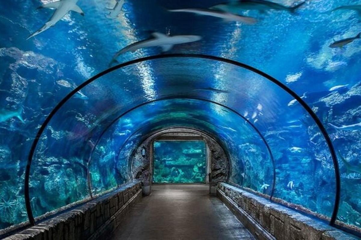 Un túnel en un acuario con peces dentro.