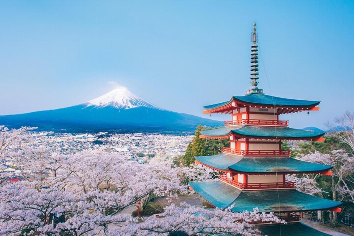 pagoda dengan gunung di latar belakang dan pohon sakura