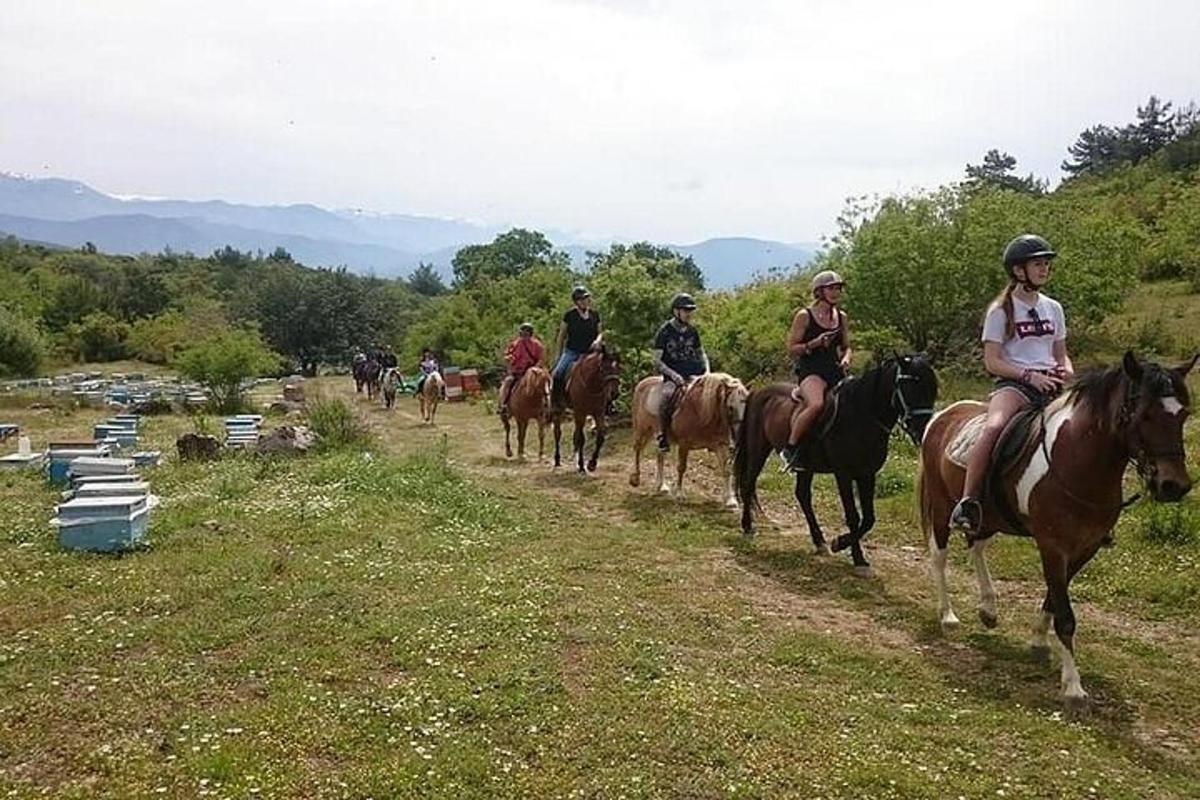 skupina lidí jedoucích na koních po prašné cestě