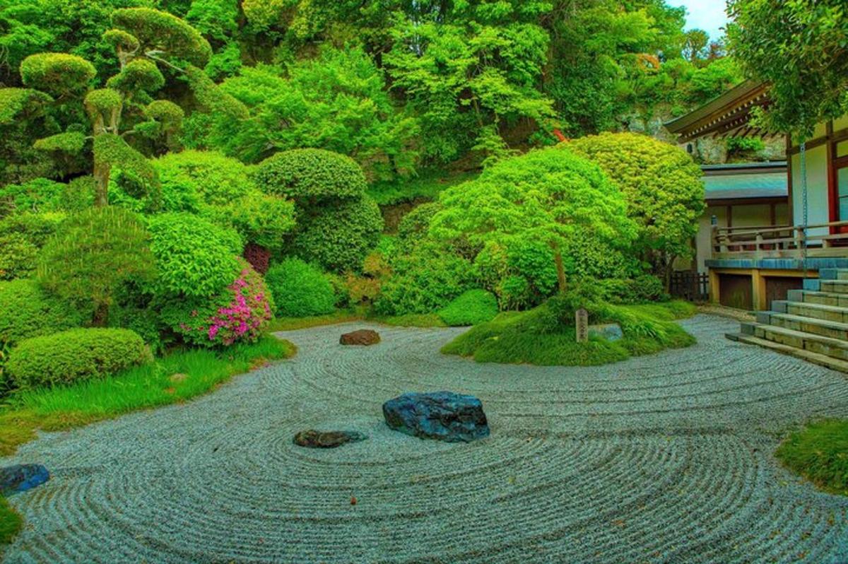 um jardim com uma árvore e um caminho de pedra