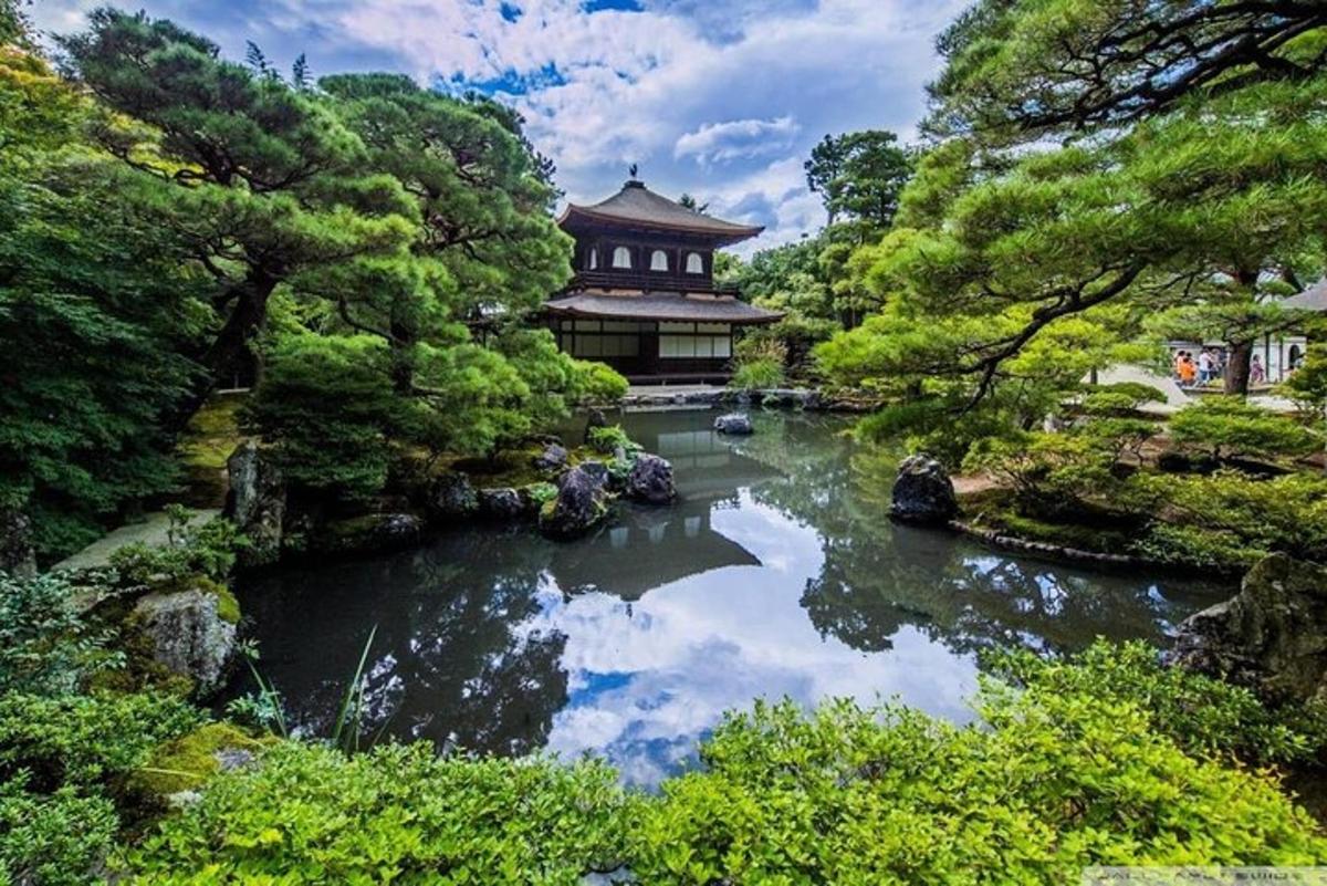 Un estanque en un jardín con un edificio al fondo.
