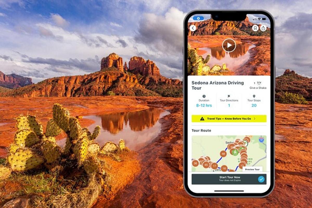 uno screenshot di un deserto con un cactus preso da un cellulare