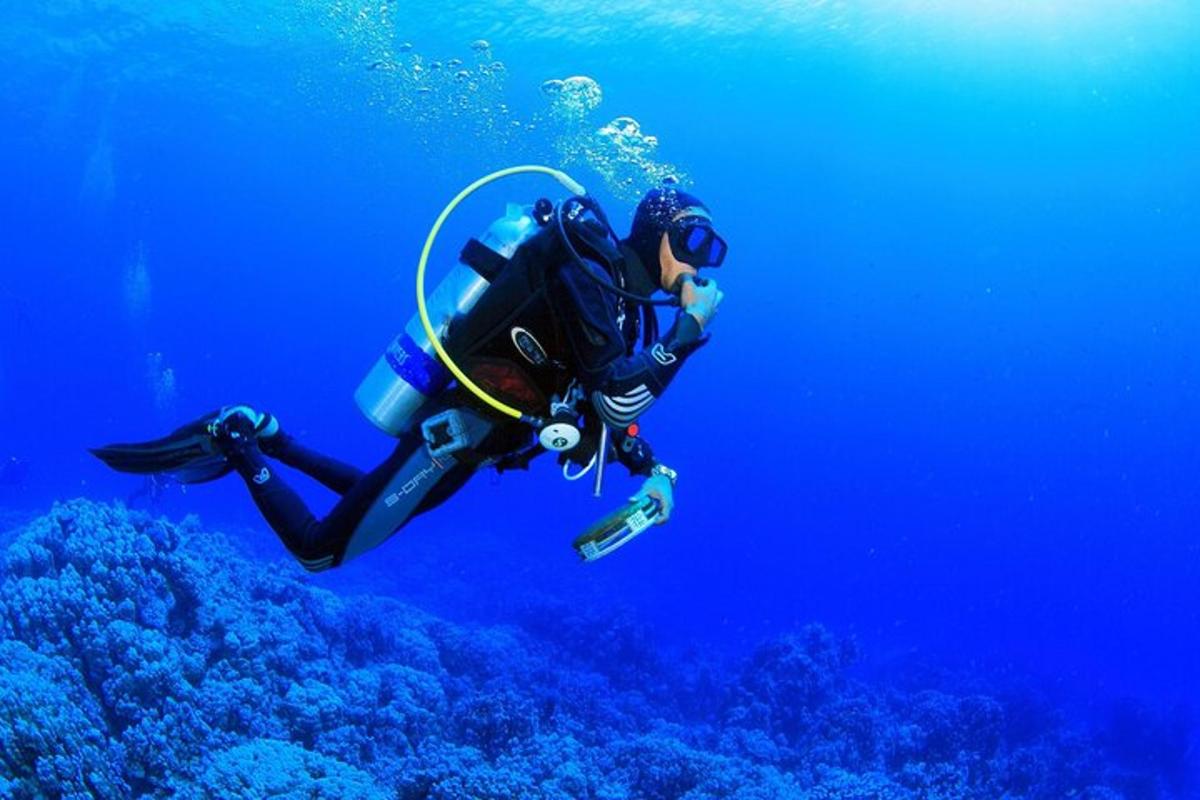 ένα άτομο με στολή κατάδυσης κολυμπάει στον ωκεανό