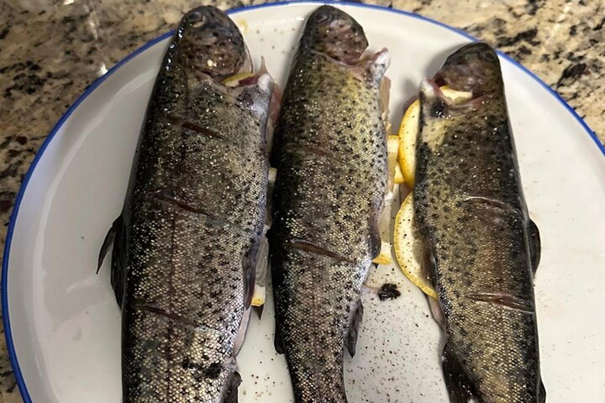 tveir fiskbitar á hvítum diski