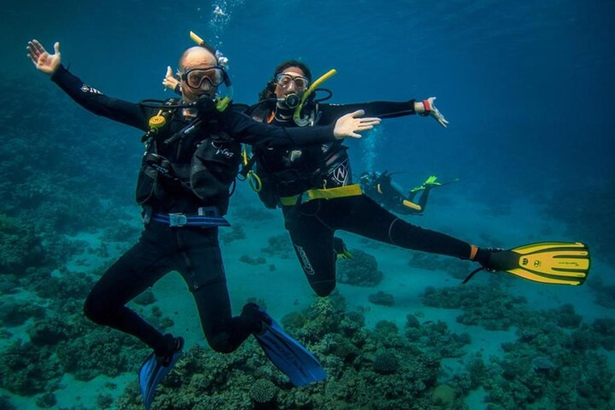 two people are diving in the ocean