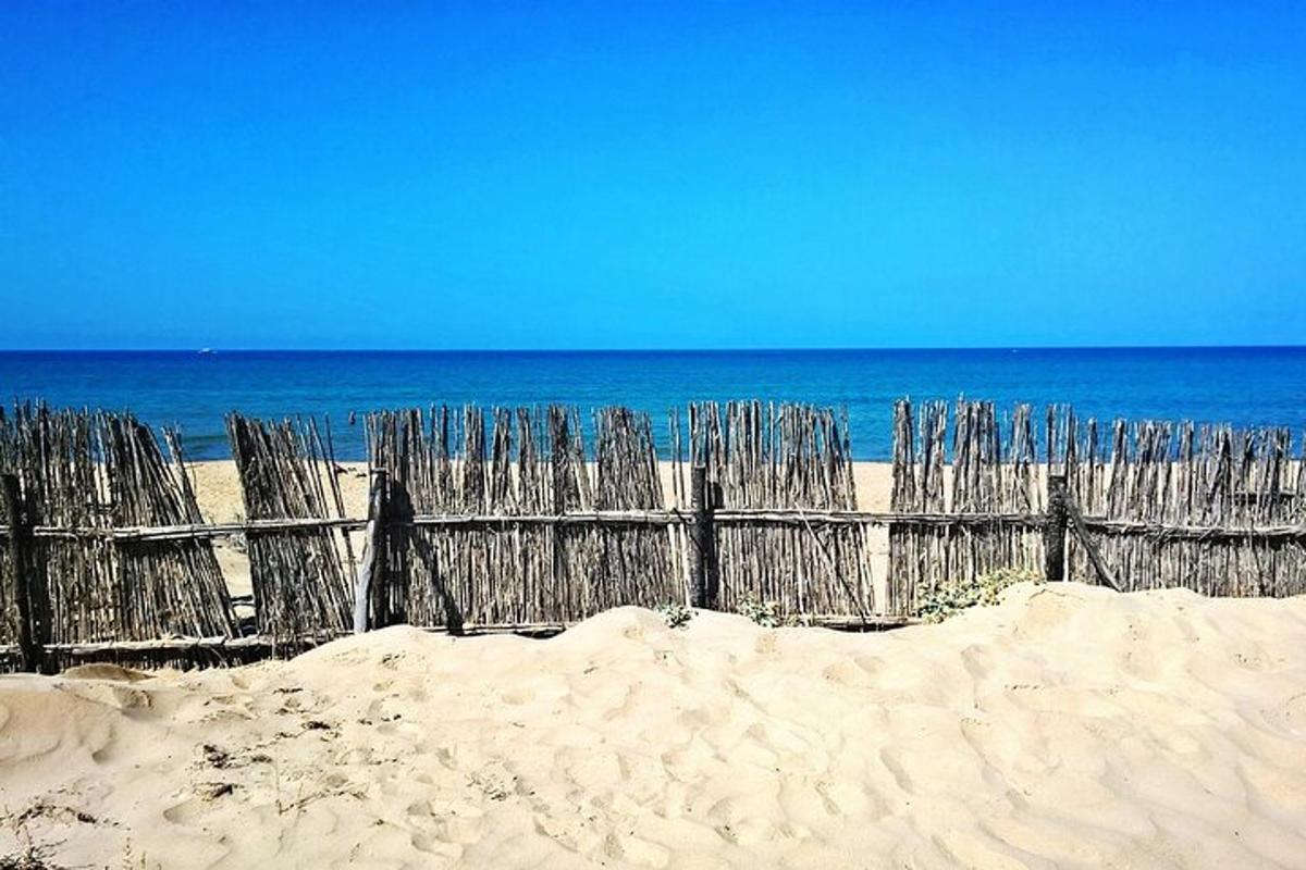 ein Holzzaun am Strand in der Nähe des Ozeans