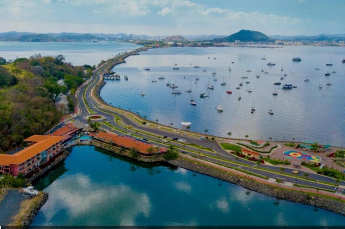 鸟瞰港口，水面上停泊着船只