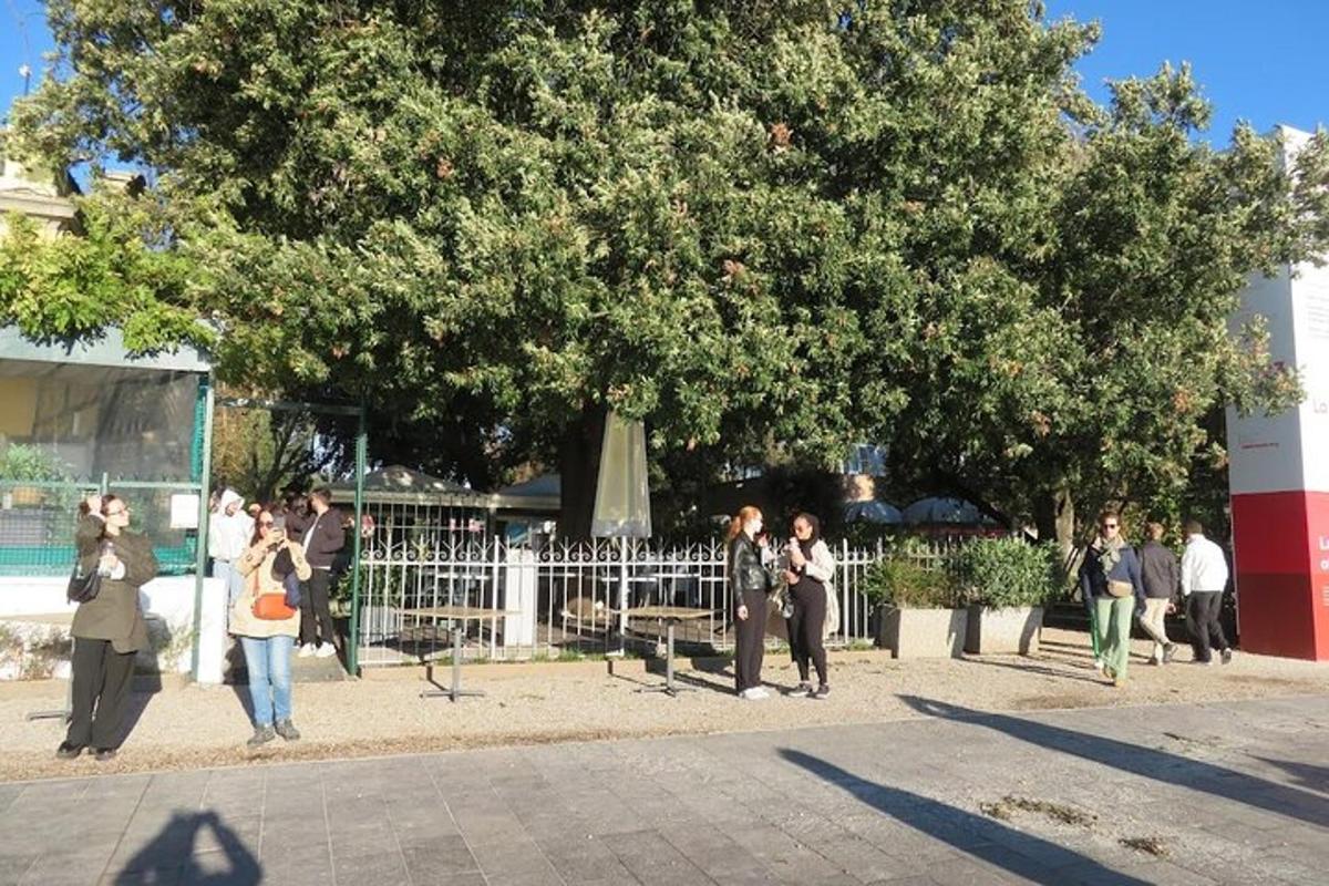 un grup de persones dretes davant d'un arbre