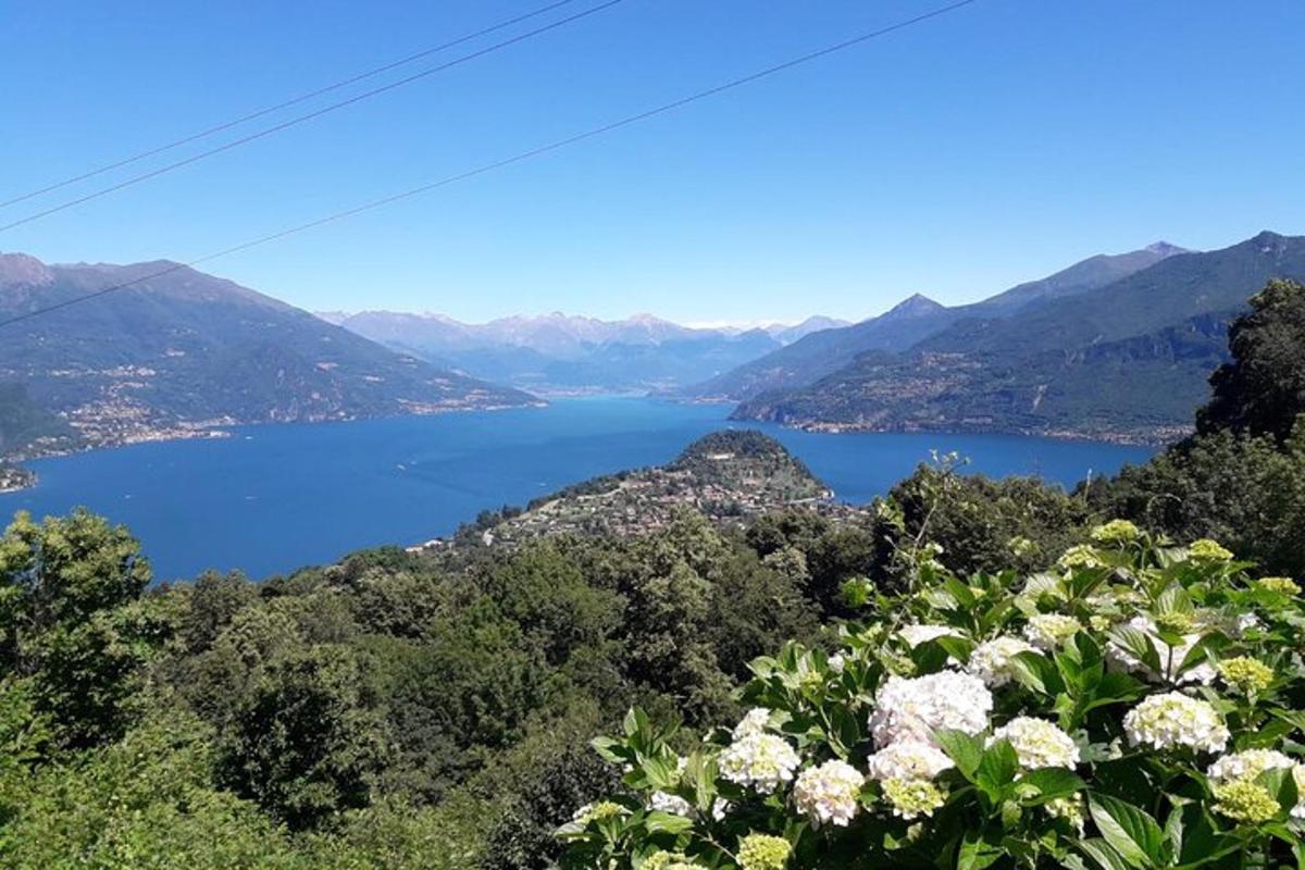 pohled na jezero z kopce s květinami
