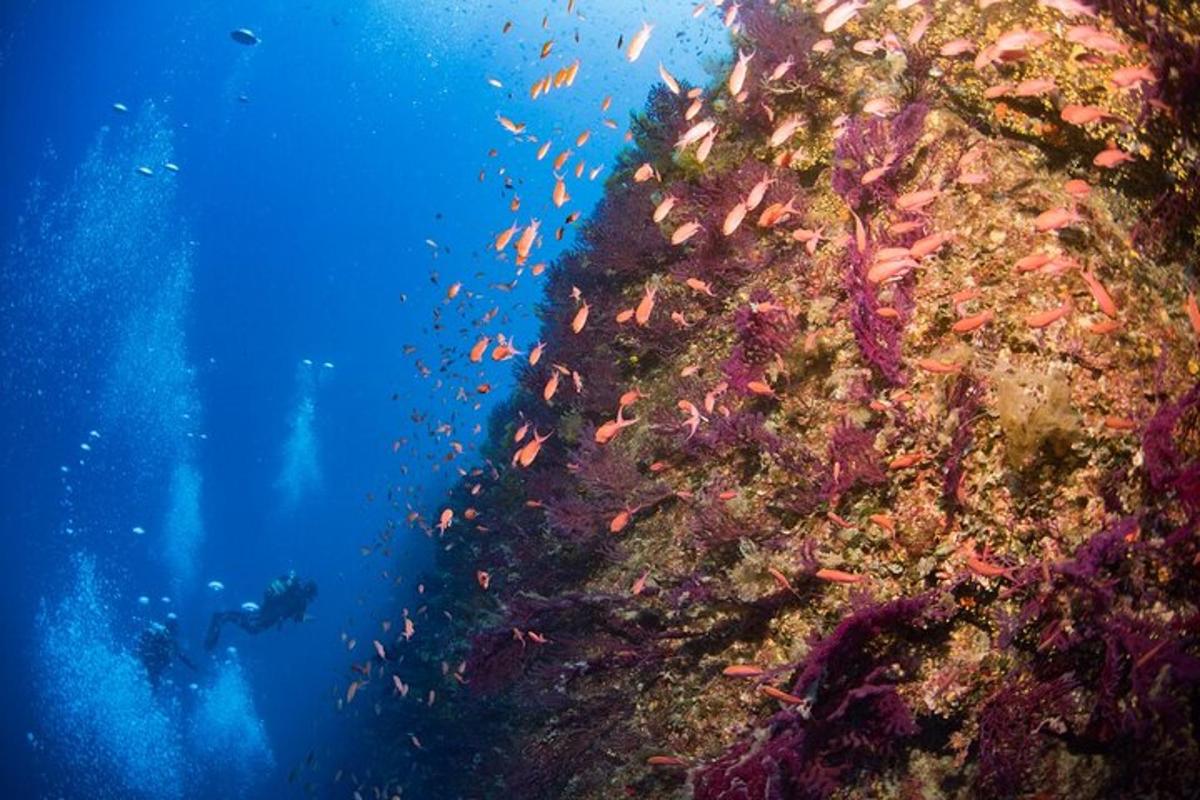 Lankytinos vietos ar pramogos nuotrauka numeris 4