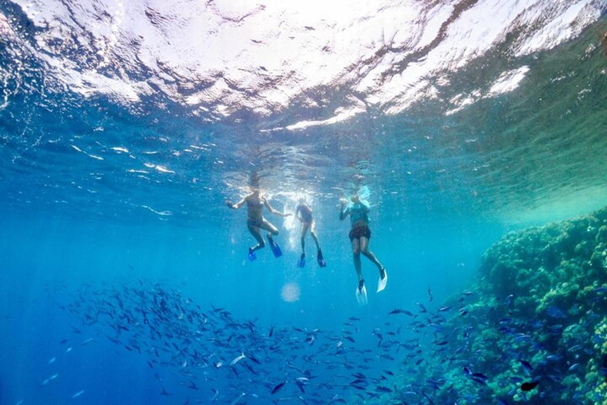 Lankytinos vietos ar pramogos nuotrauka numeris 6