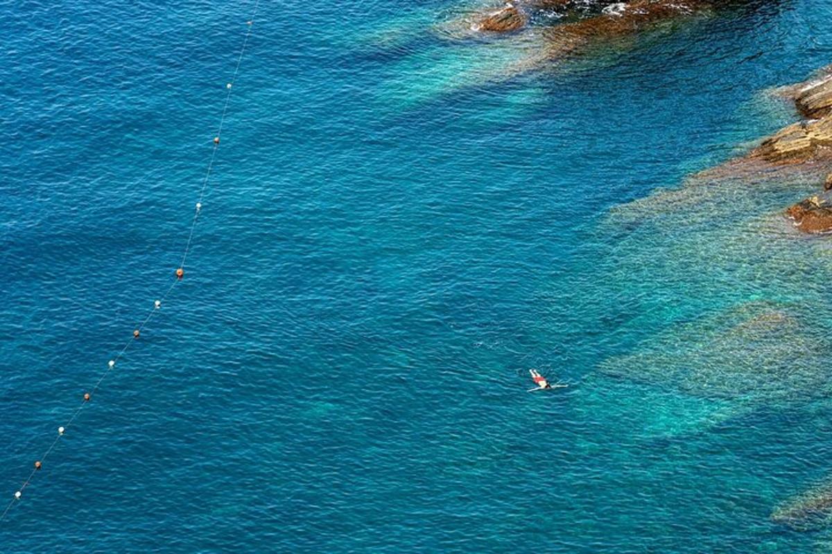 Lankytinos vietos ar pramogos nuotrauka numeris 7