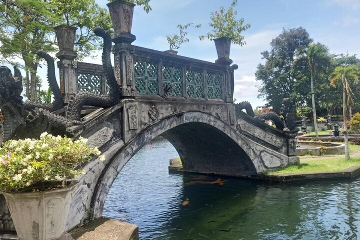 jembatan di atas air di taman