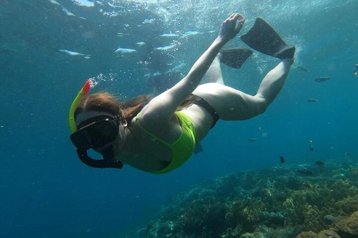 seorang wanita berenang di air dengan selembar kertas