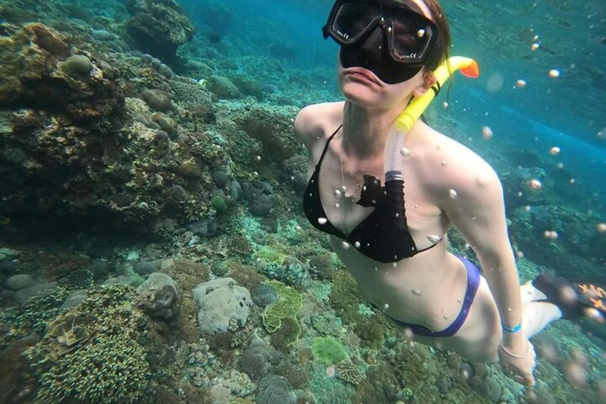 seorang wanita dengan pakaian renang dan kacamata renang berenang di laut