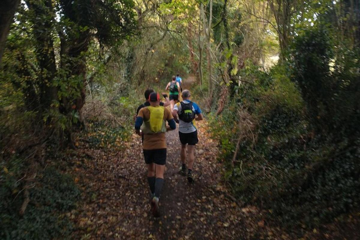 un grupo de personas caminando por un sendero forestal