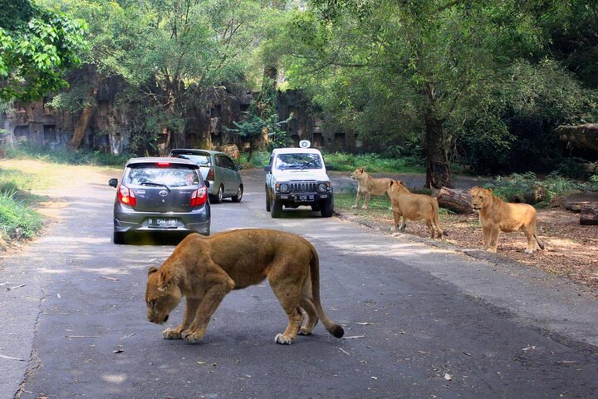 Fotografia da atração 1