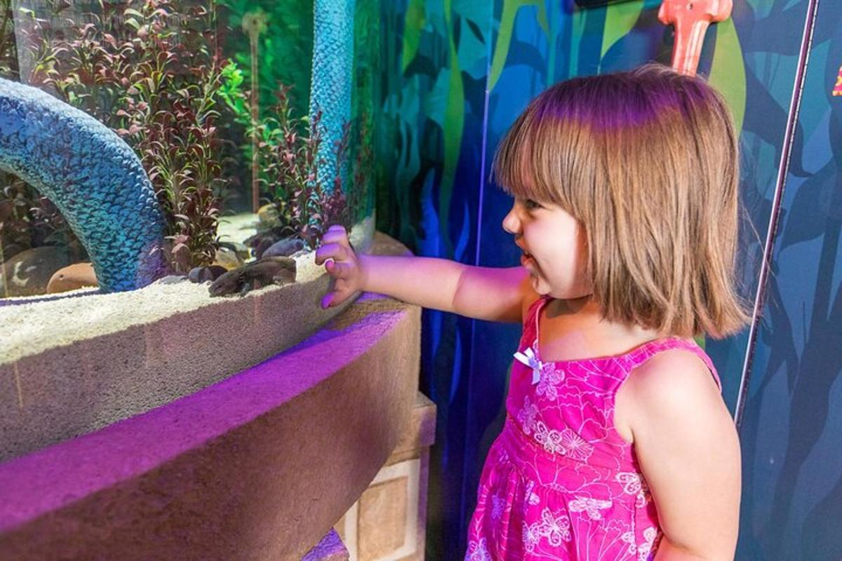 a little girl in a pink dress pointing at an aquarium