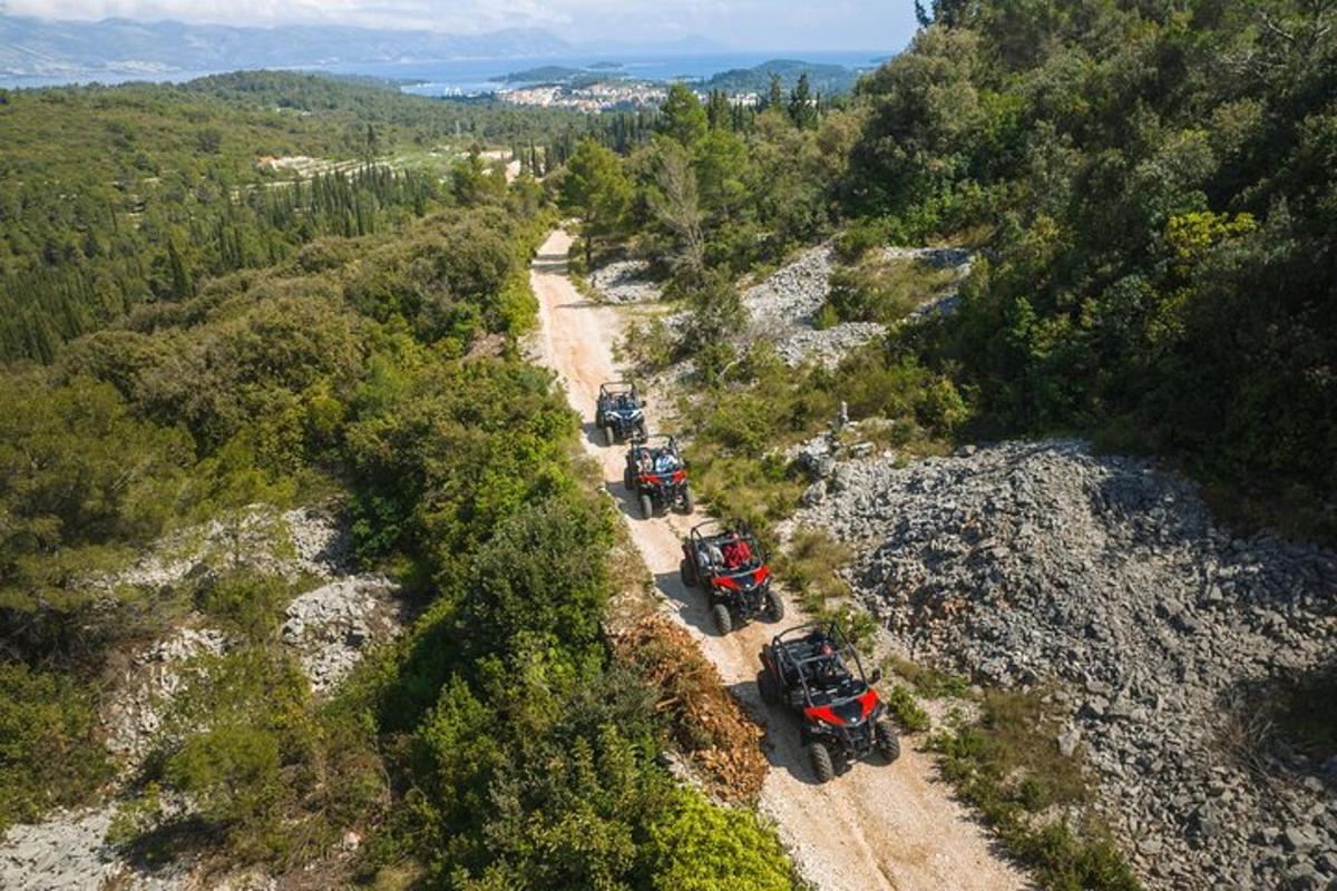 Lankytinos vietos ar pramogos nuotrauka numeris 3