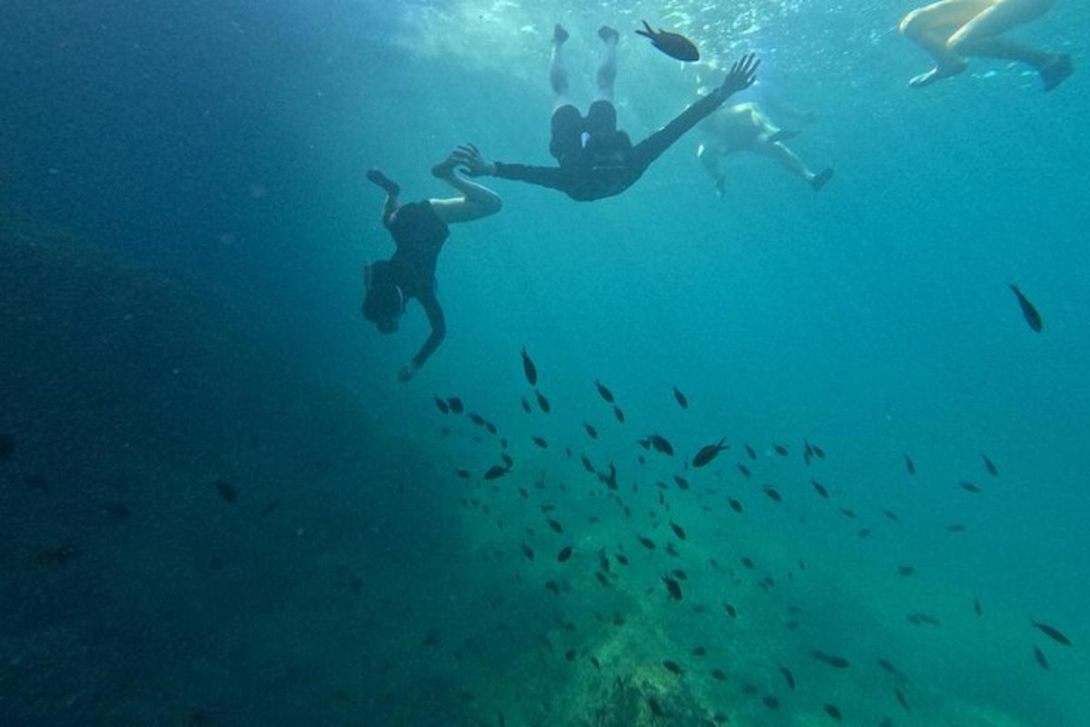 a group of people swimming in the ocean with fish