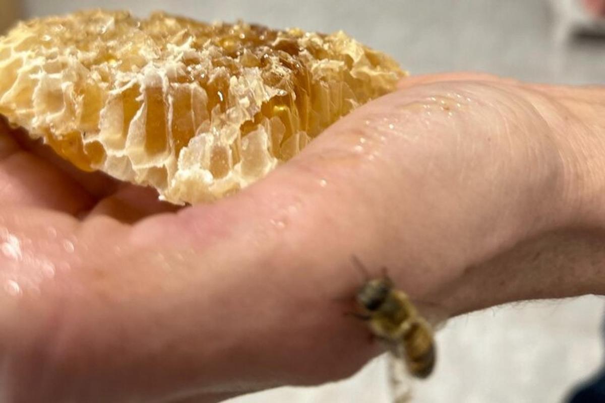 a person holding a piece of bread in their hand