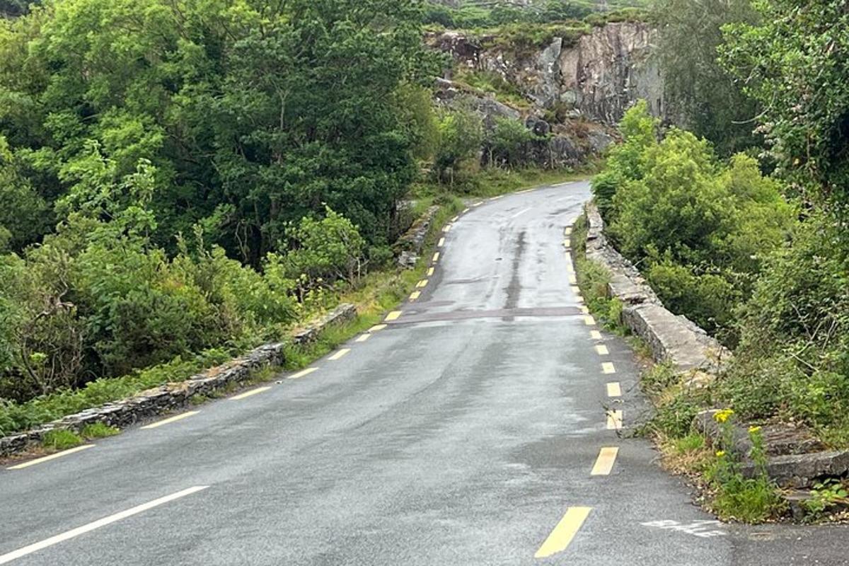 una strada vuota con alberi sul fianco di una montagna