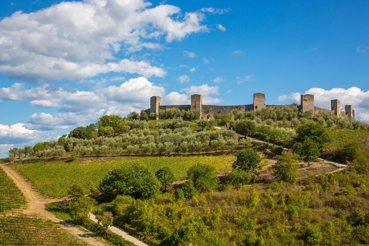 hrad stojící na vrcholu kopce se stromy
