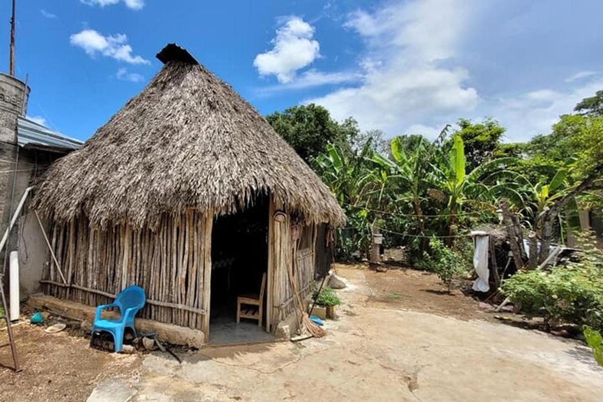 pondok berbumbung jerami dengan kerusi biru