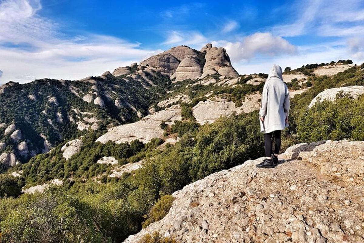 a person standing on a rock looking at a mountain