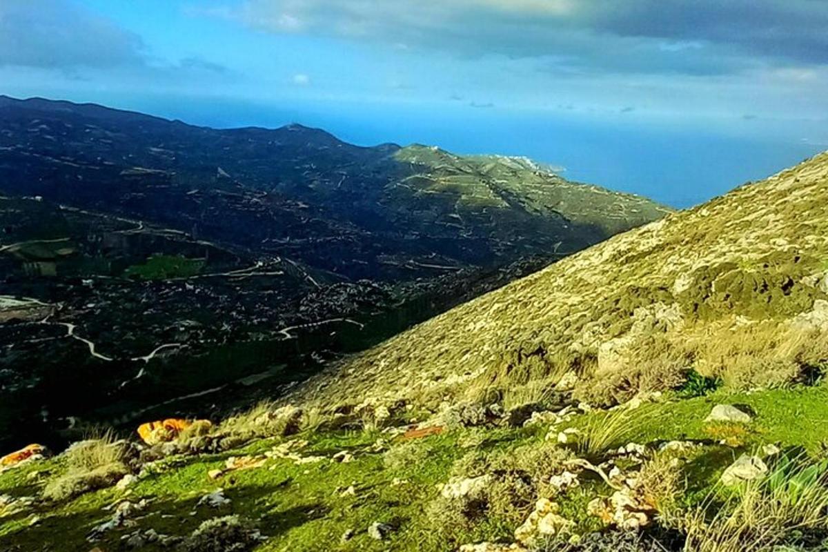 rohtunud küngas, mille taustal on ookean