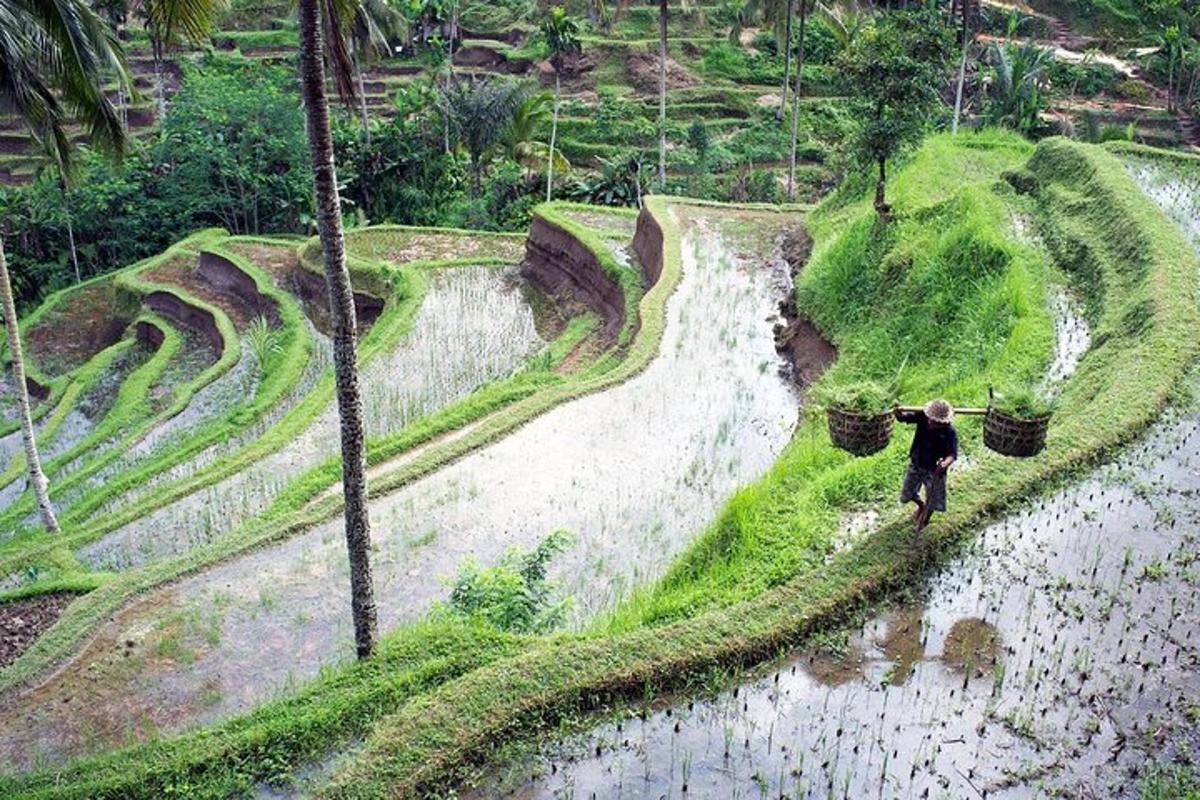 a man walking down a hill with baskets on it