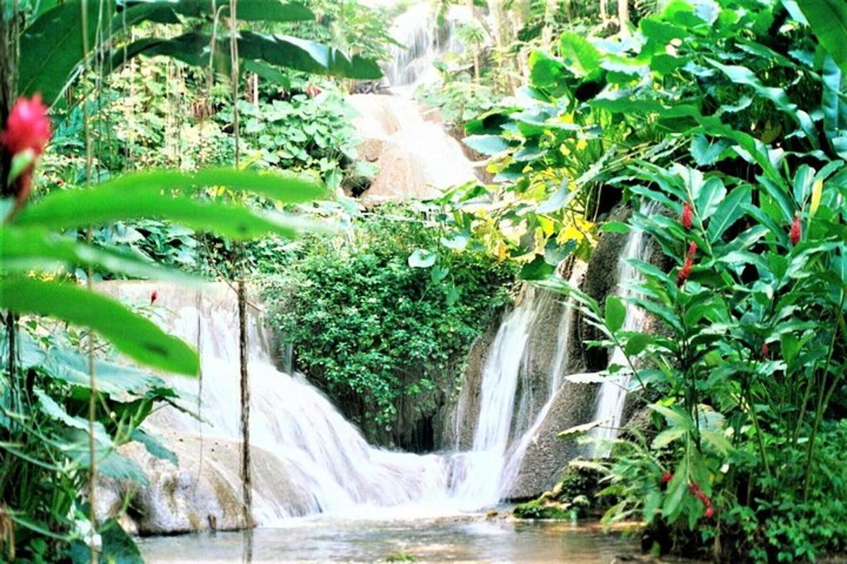 una cascada en un jardí amb plantes verdes