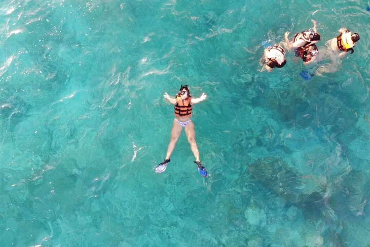 sekumpulan orang berenang di dalam air