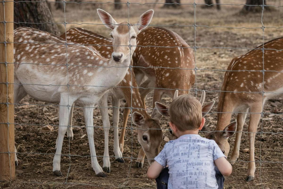 Lankytinos vietos ar pramogos nuotrauka numeris 7