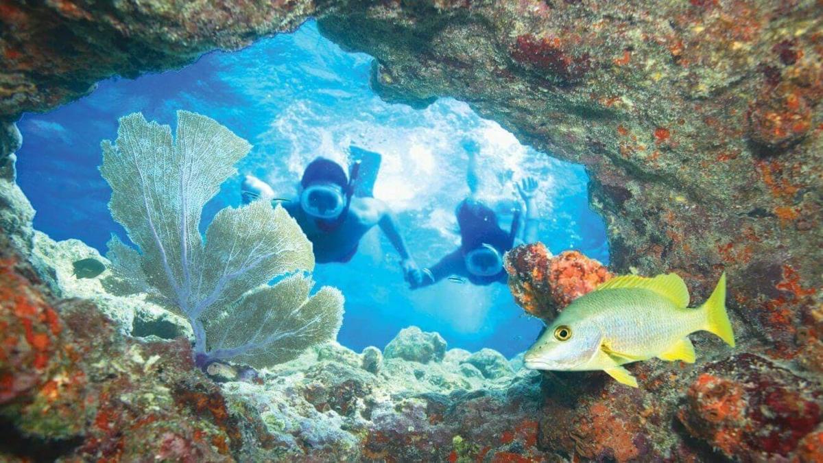 Un grupo de personas en una cueva submarina con un pez.