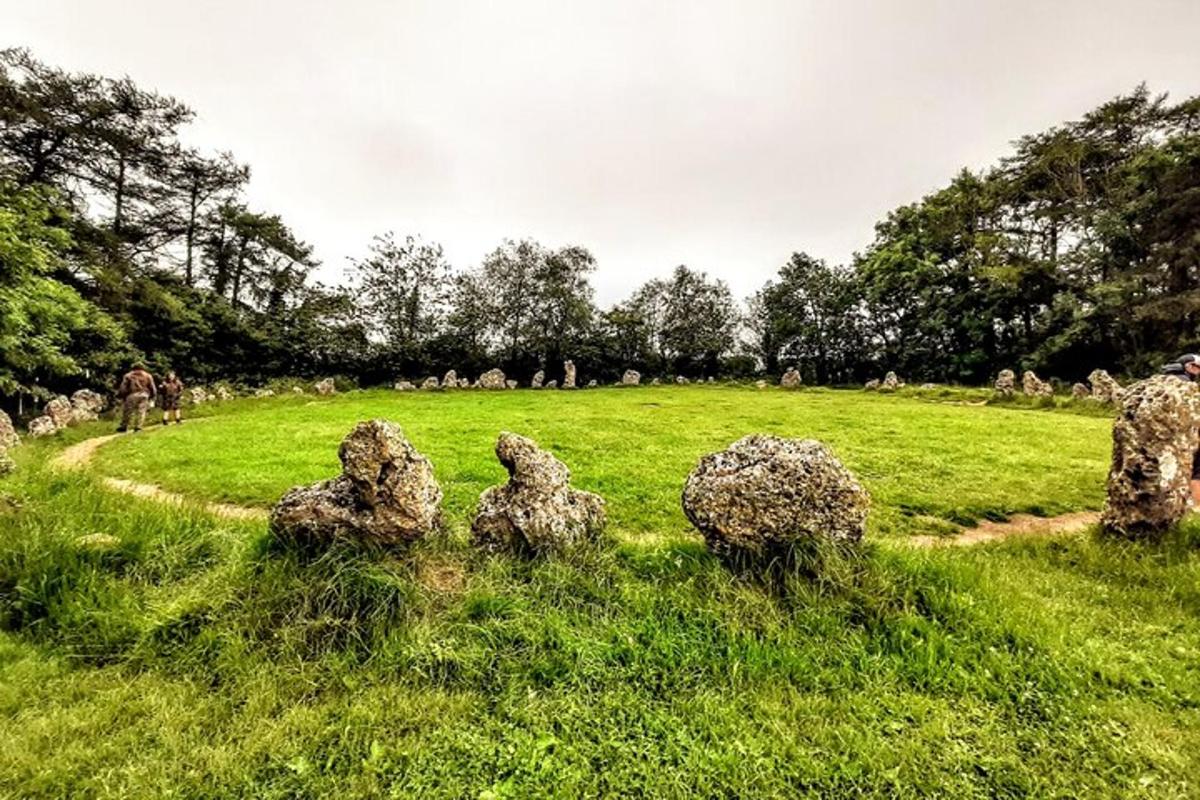 un campo con alcune rocce nell'erba