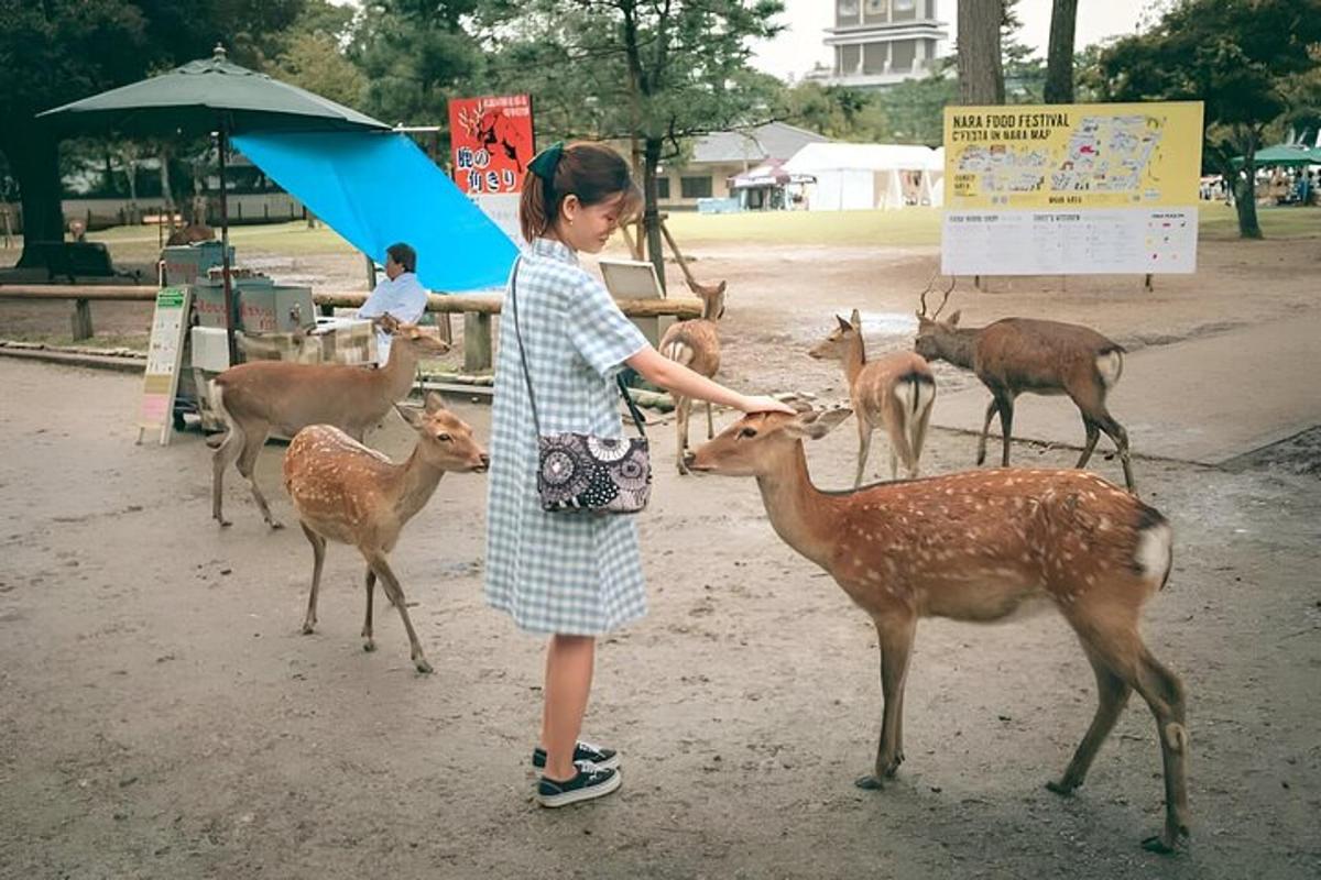 mladá dívka hladí skupinu jelenů