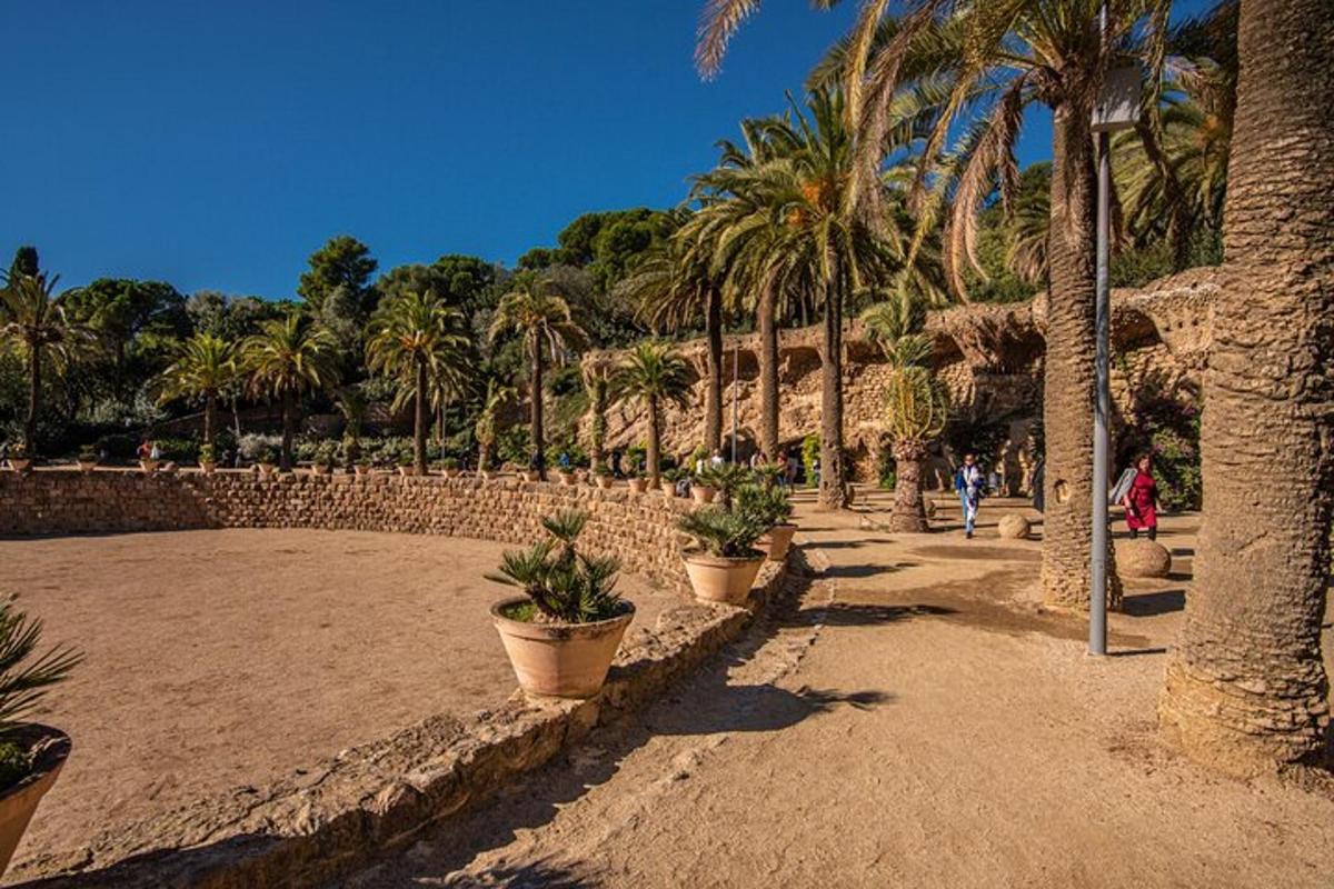 un parco con palme e piante in vaso