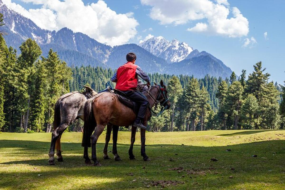 5 foto atraksi wisata