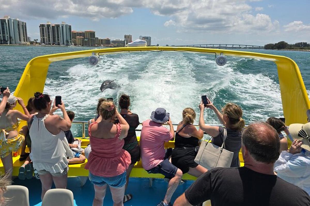 a group of people taking pictures of a dolphin on a boat