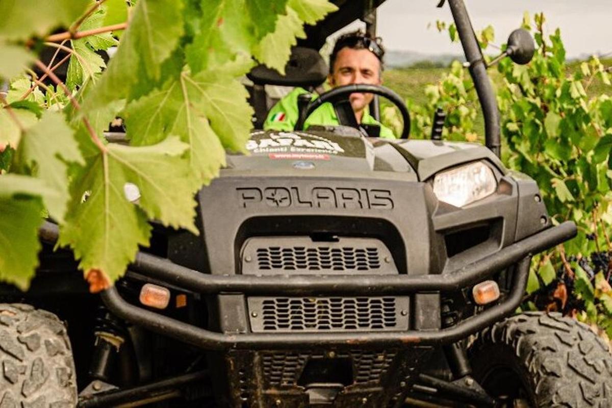 a man driving an atv in a vineyard