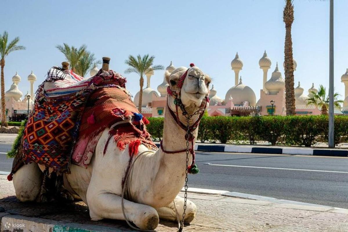 صورة رقم 5 للمعلم السياحي
