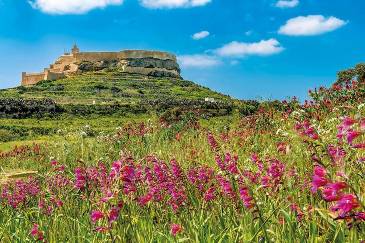 un camp de flors amb un castell dalt d'un turó