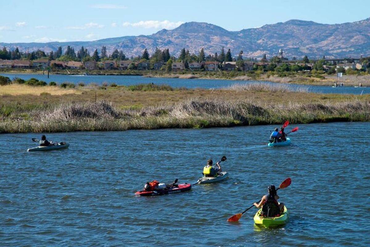 a group of people in kayaks on a river